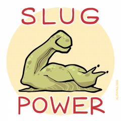 slug-power